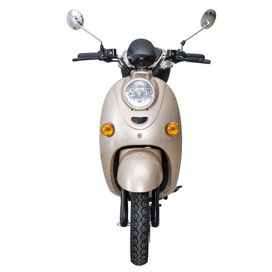 ΕΠΙΔΟΤΟΥΜΕΝΟ ΗΛΕΚΤΡΙΚΟ SCOOTER-VESPA GOLD