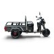 ΗΛΕΚΤΡΙΚΟ ΤΡΙΚΥΚΛΟ ΜΕ ΚΑΡΟΤΣΑ ΓΚΡΙ - CARGO 3 MINI ELECTRIC SCOOTER GREY