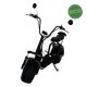 ΕΠΙΔΟΤΟΥΜΕΝΟ ΗΛΕΚΤΡΙΚΟ SCOOTER HARLEY BLACK 1500W TX-07-1